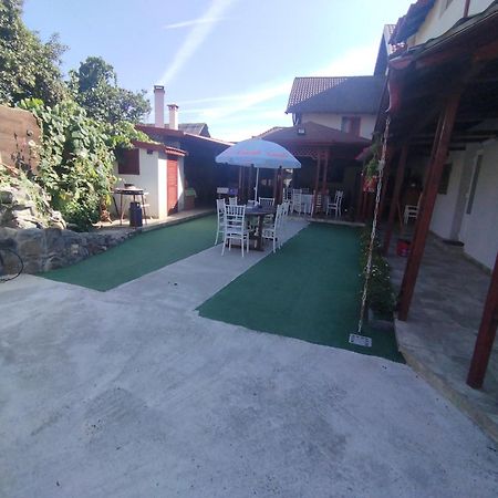 Hotel La Zinculescu Albestii Paminteni Esterno foto