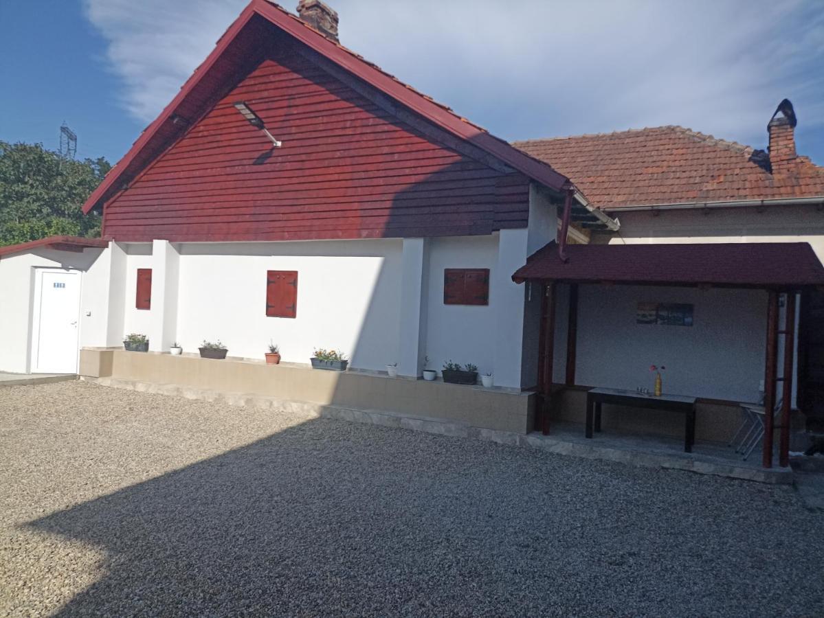 Hotel La Zinculescu Albestii Paminteni Esterno foto