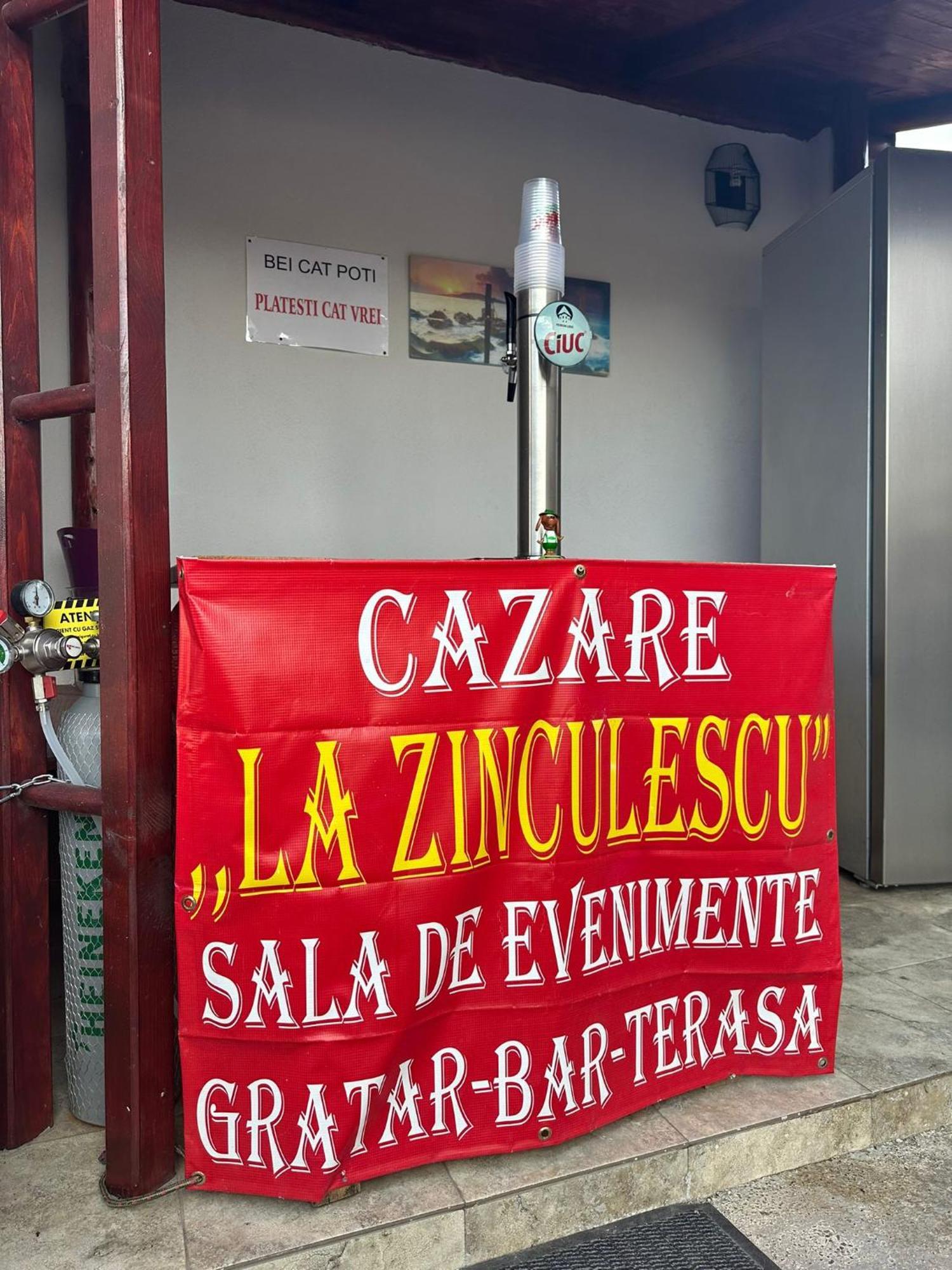 Hotel La Zinculescu Albestii Paminteni Esterno foto